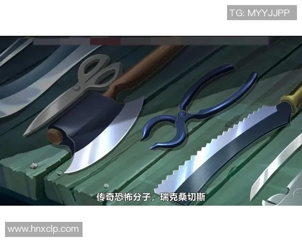 篮球明星FC的传奇之路：从球场到人生的精彩瞬间与成就解析